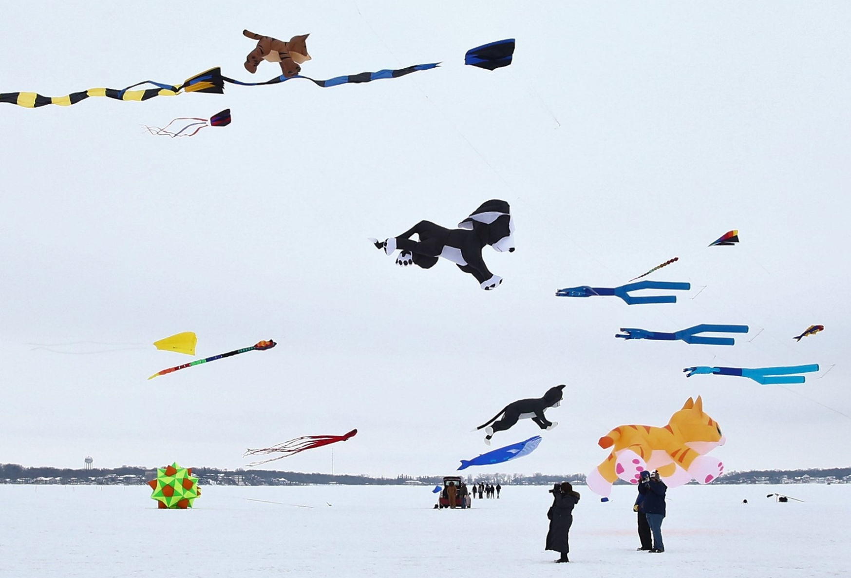 Color the Wind 15